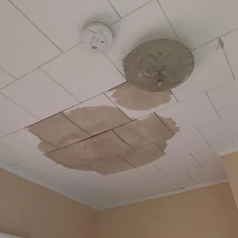 Ceiling Water Damage Repair in New Durham, NH