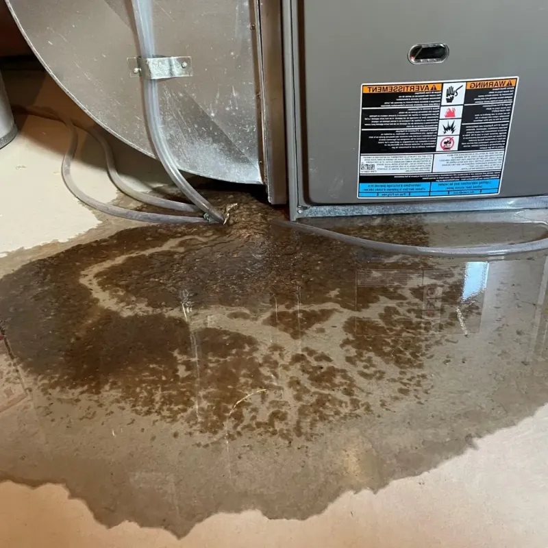Pipe Burst and Leak Restoration in New Durham, NH