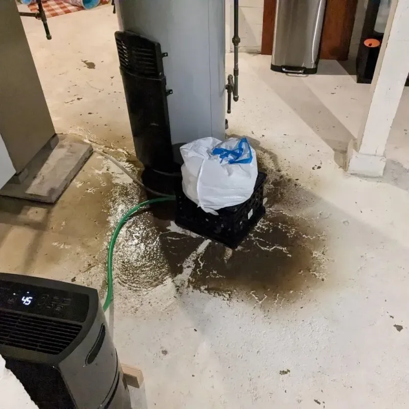 Sewage Backup Cleanup Service in New Durham, NH